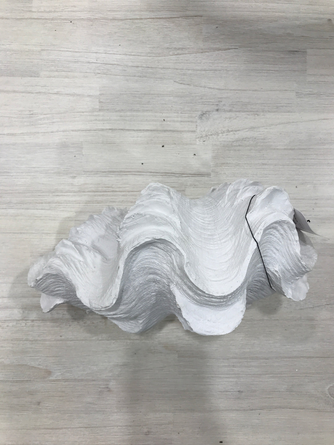 Clam Resin Shell 28x19x14cm White