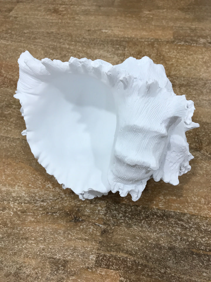 Galilao Resin White Conch Shell