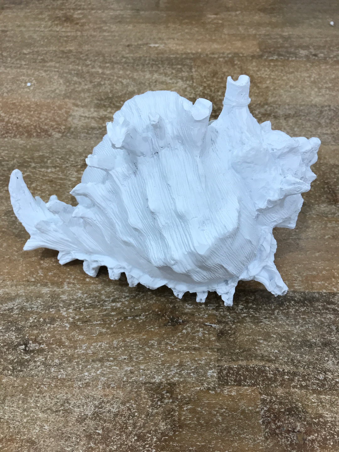 Galilao Resin White Conch Shell