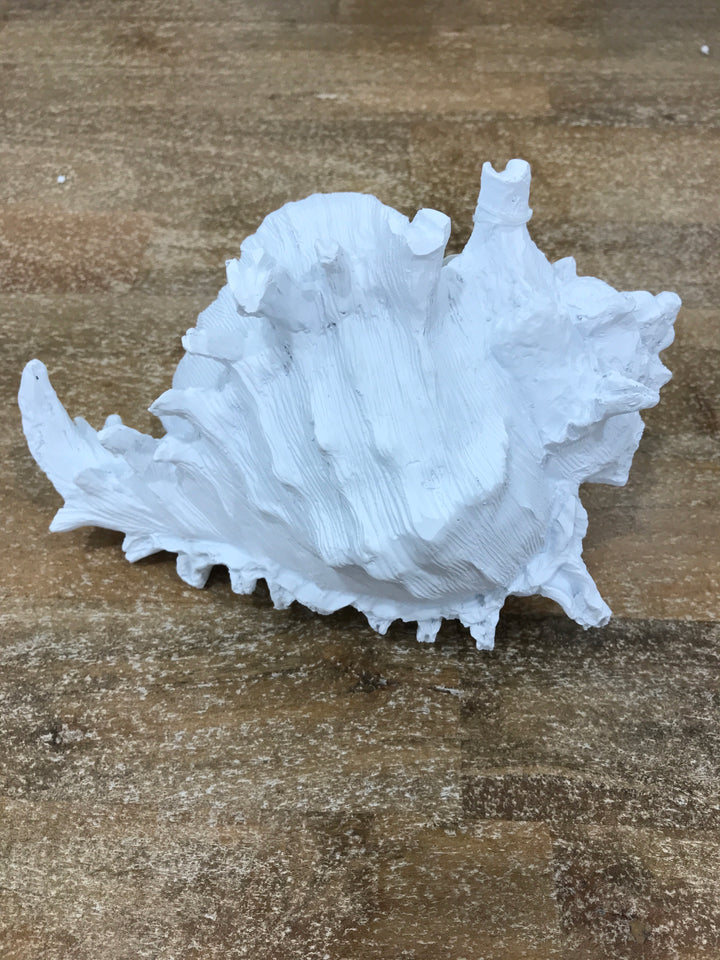 Galilao Resin White Conch Shell