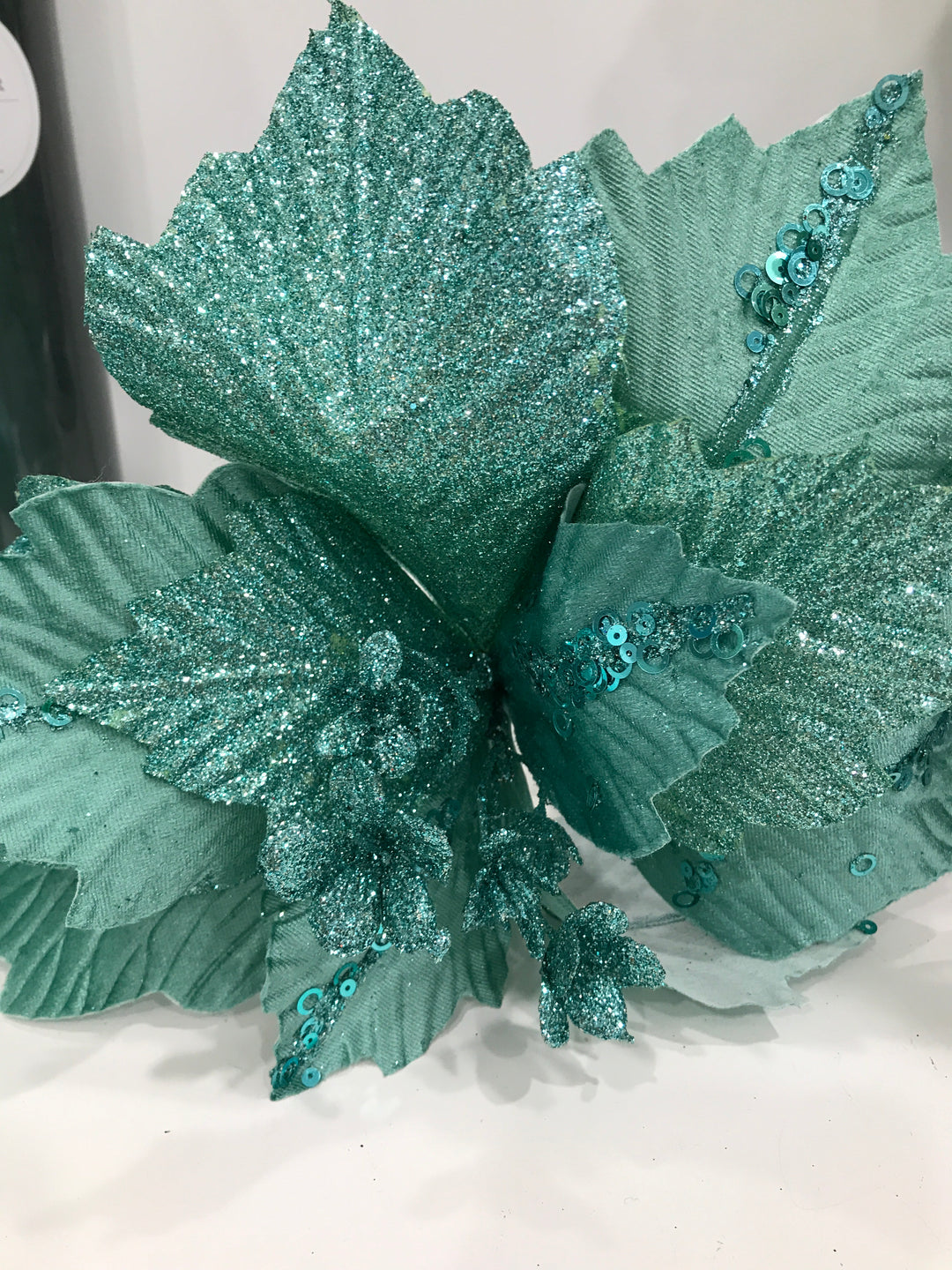 Teal Pionsettia clip on