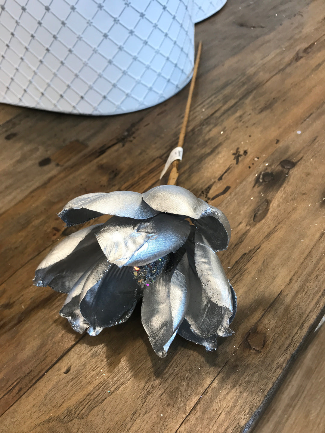 Silver Stem Magnolia 50cm Gm
