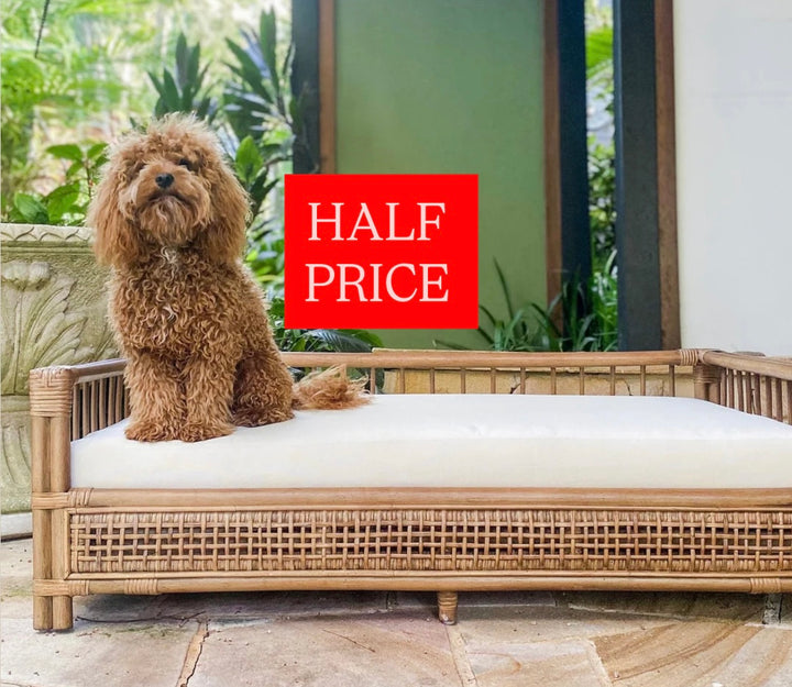 Cayman Rattan Pet Bed FLOORSTOCK