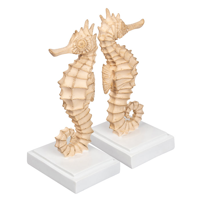 Krill Resin Taupe Seahorse Bookends