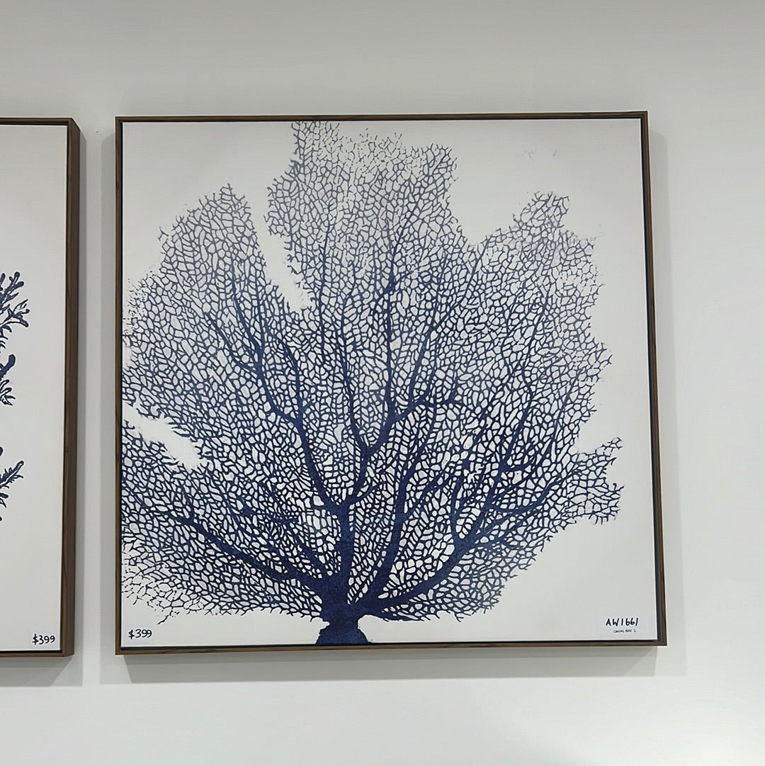 Framed Canvas Reef 1