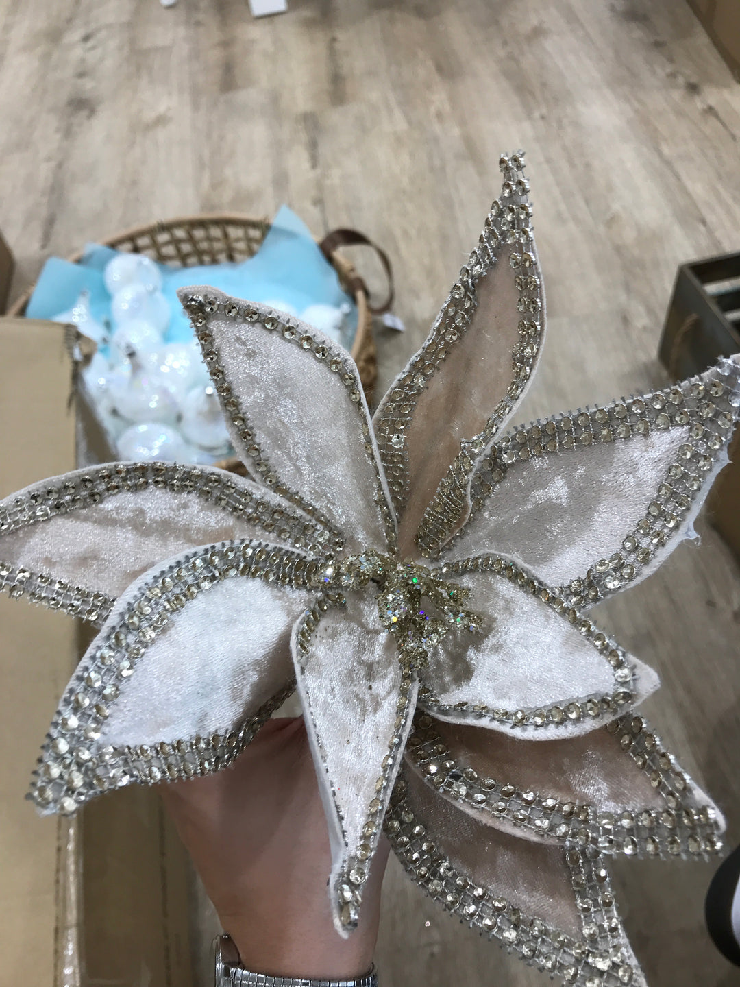 Clip on poinsettia champagne