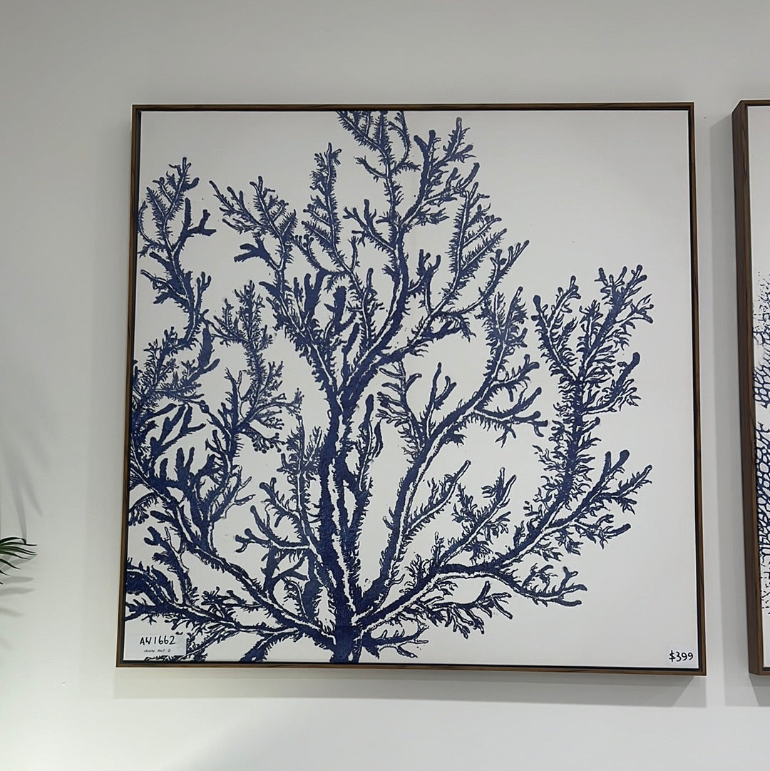 Framed Canvas Reef 2
