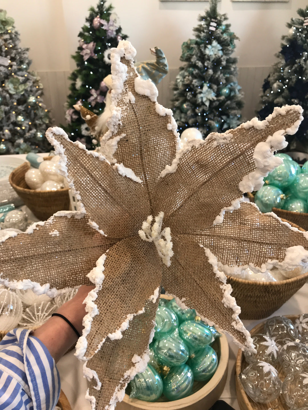 Poinsettia White Trim 38cm Jute/White