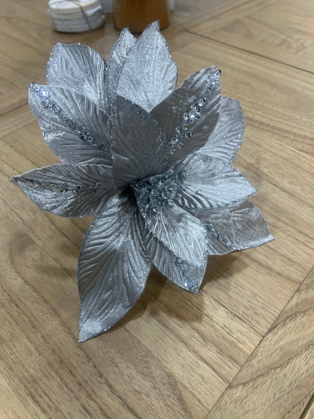 Platinum Poinsettia