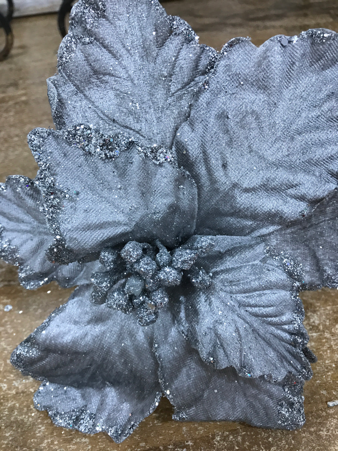 Glitter Edge Grey Silver Poinsettia