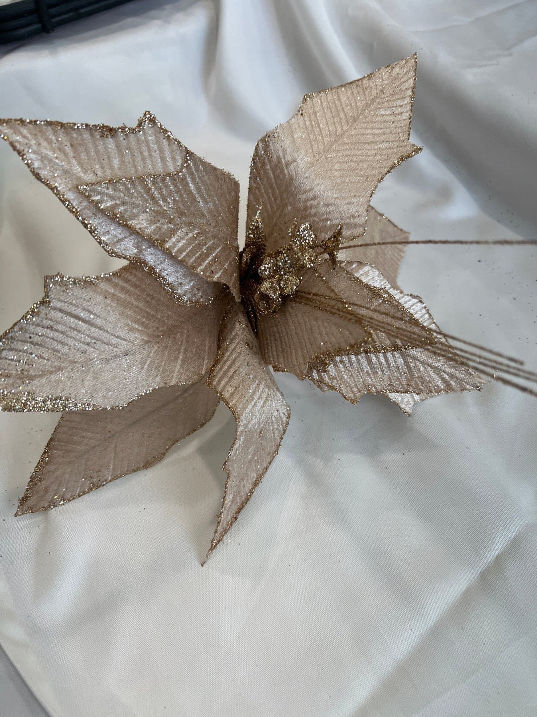 Poinsettia Shiny Champagne 11 Leaf