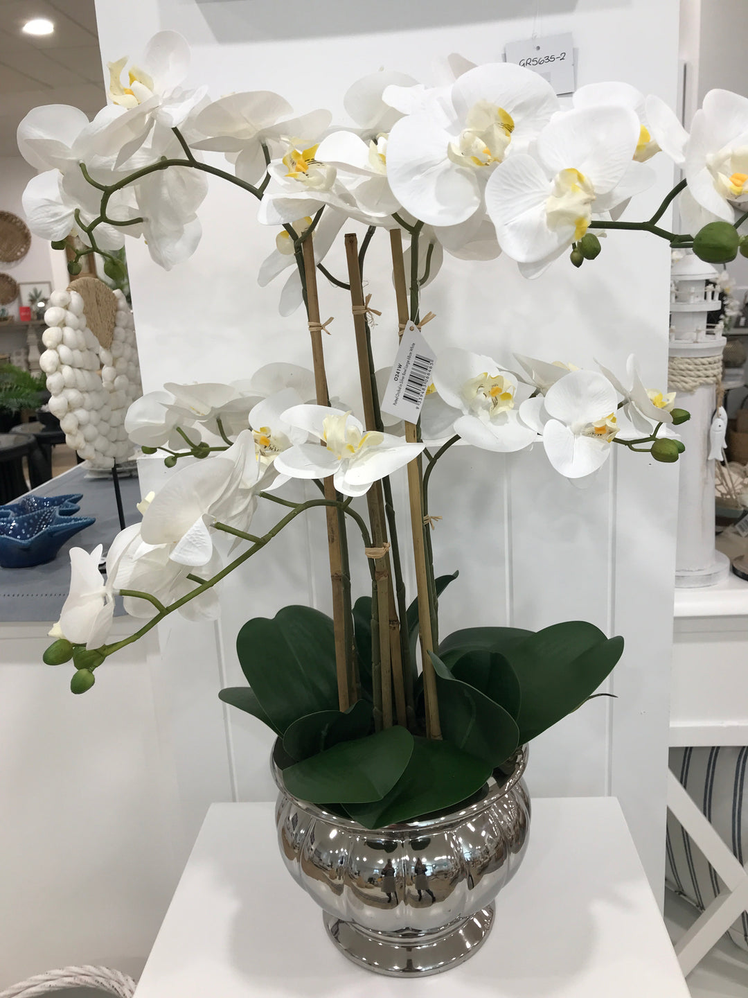 Potted Orchid in Silver Bowl Large 68cm White