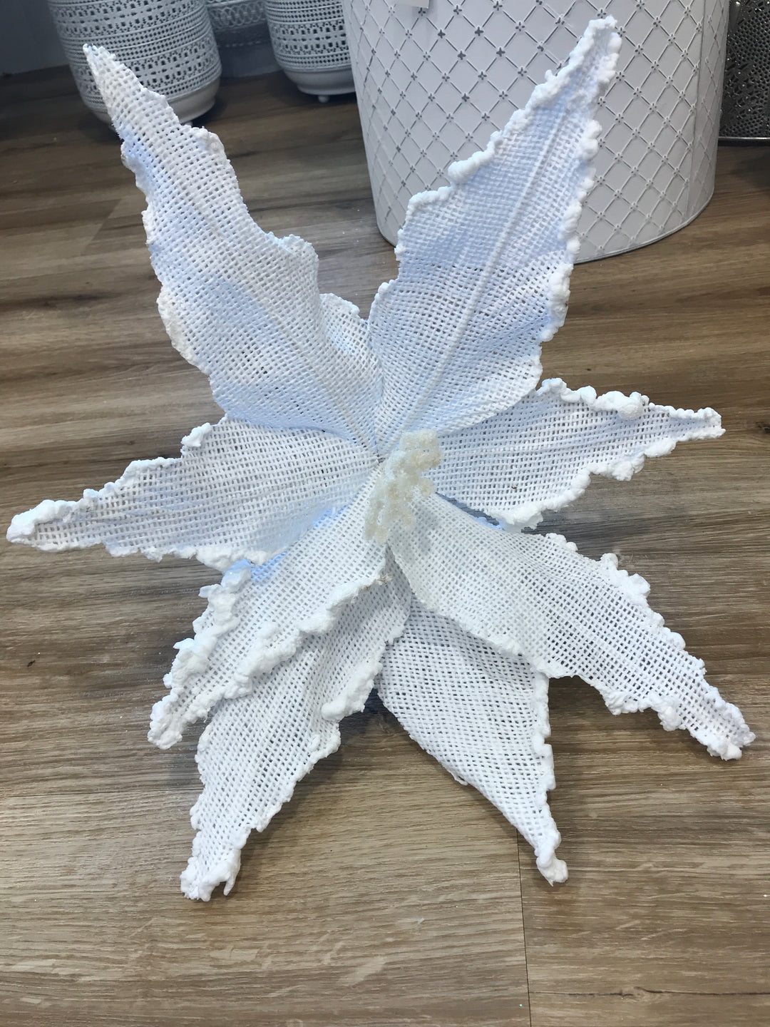Poinsettia White Trim 40cm