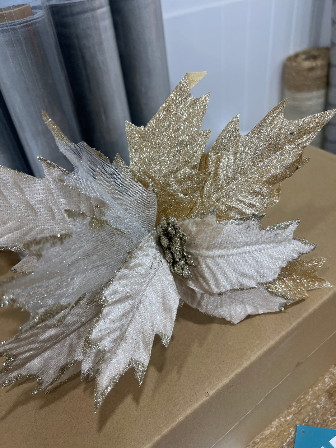 Coral Jagged Poinsettia