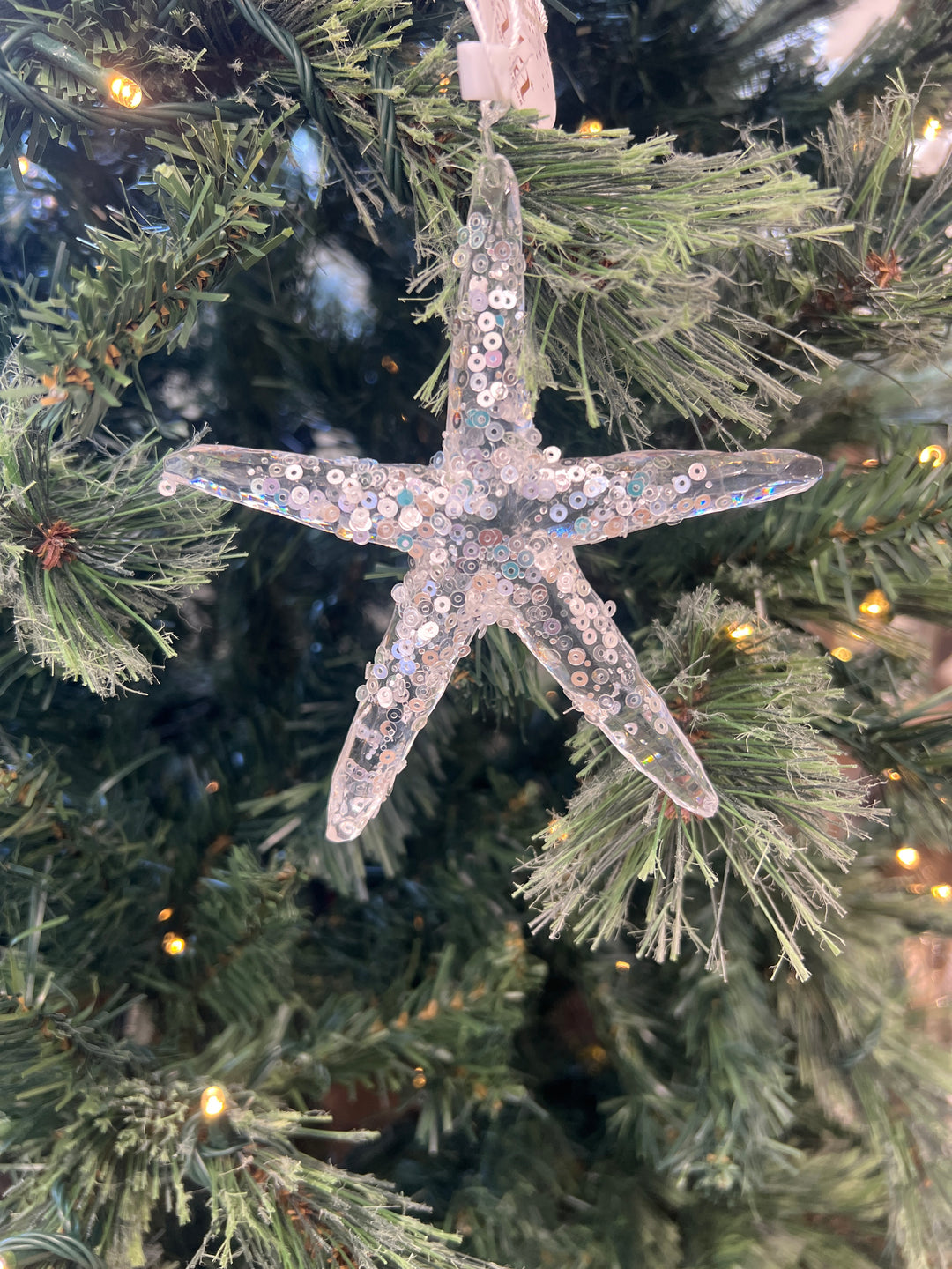 Starfish Hanger Acrylic