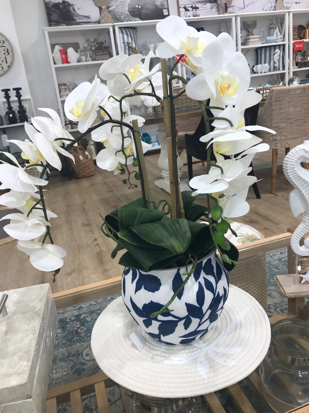 Potted Orchid Blue Leaf Pot