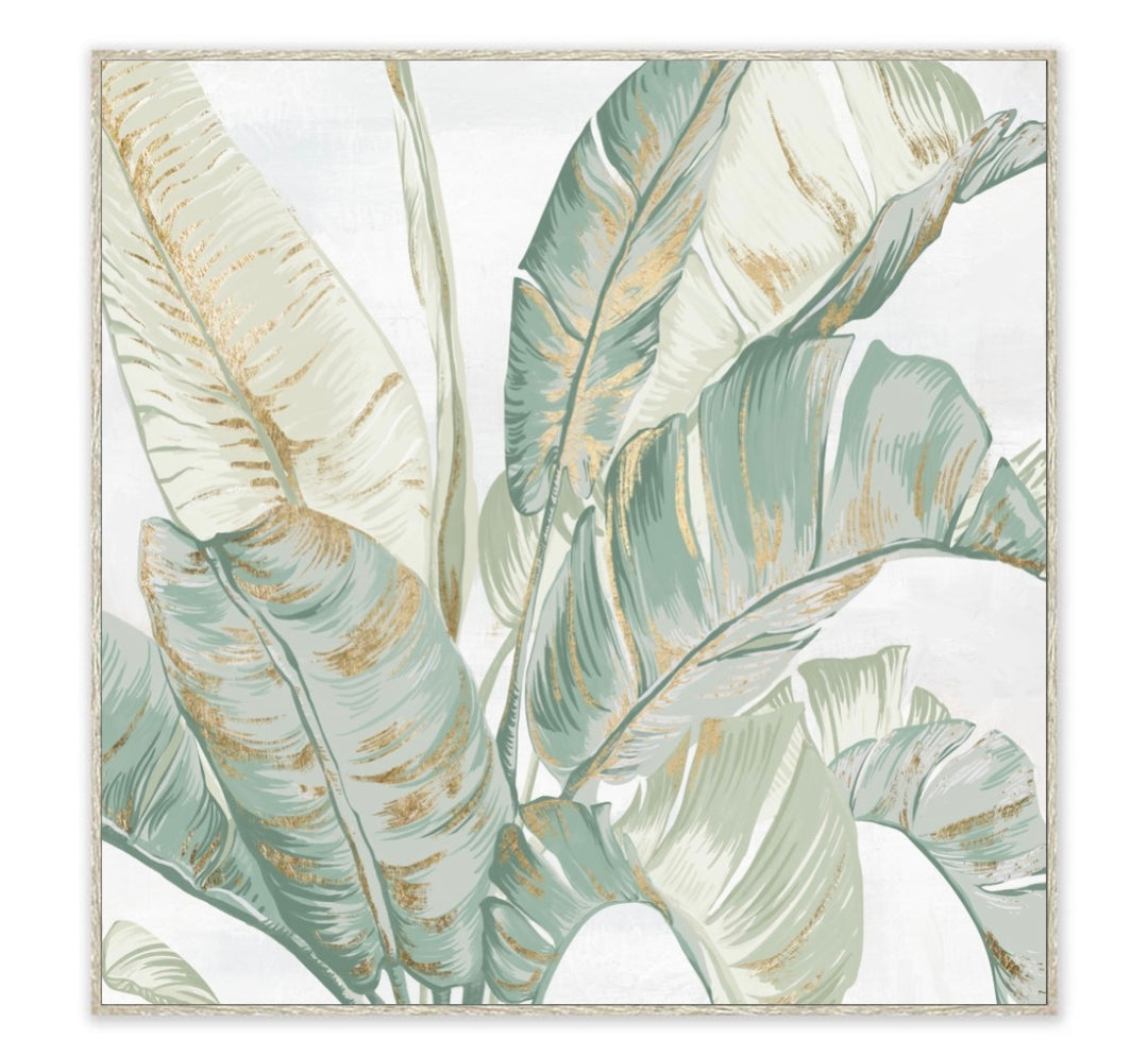 Tropical Morning Framed Canvas