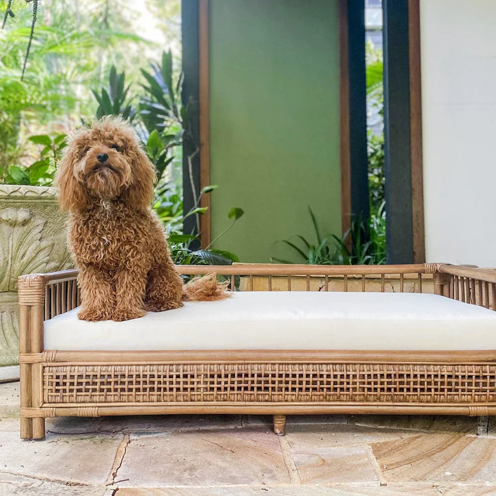 Cayman Rattan Pet Bed FLOORSTOCK