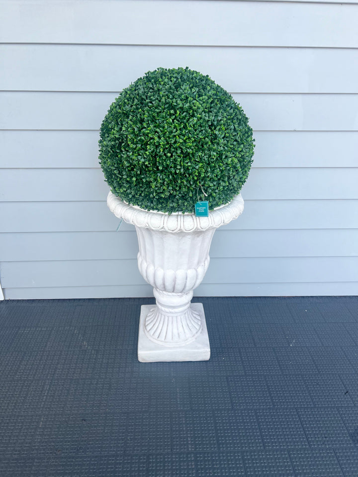 Boxwood Ball 50cm