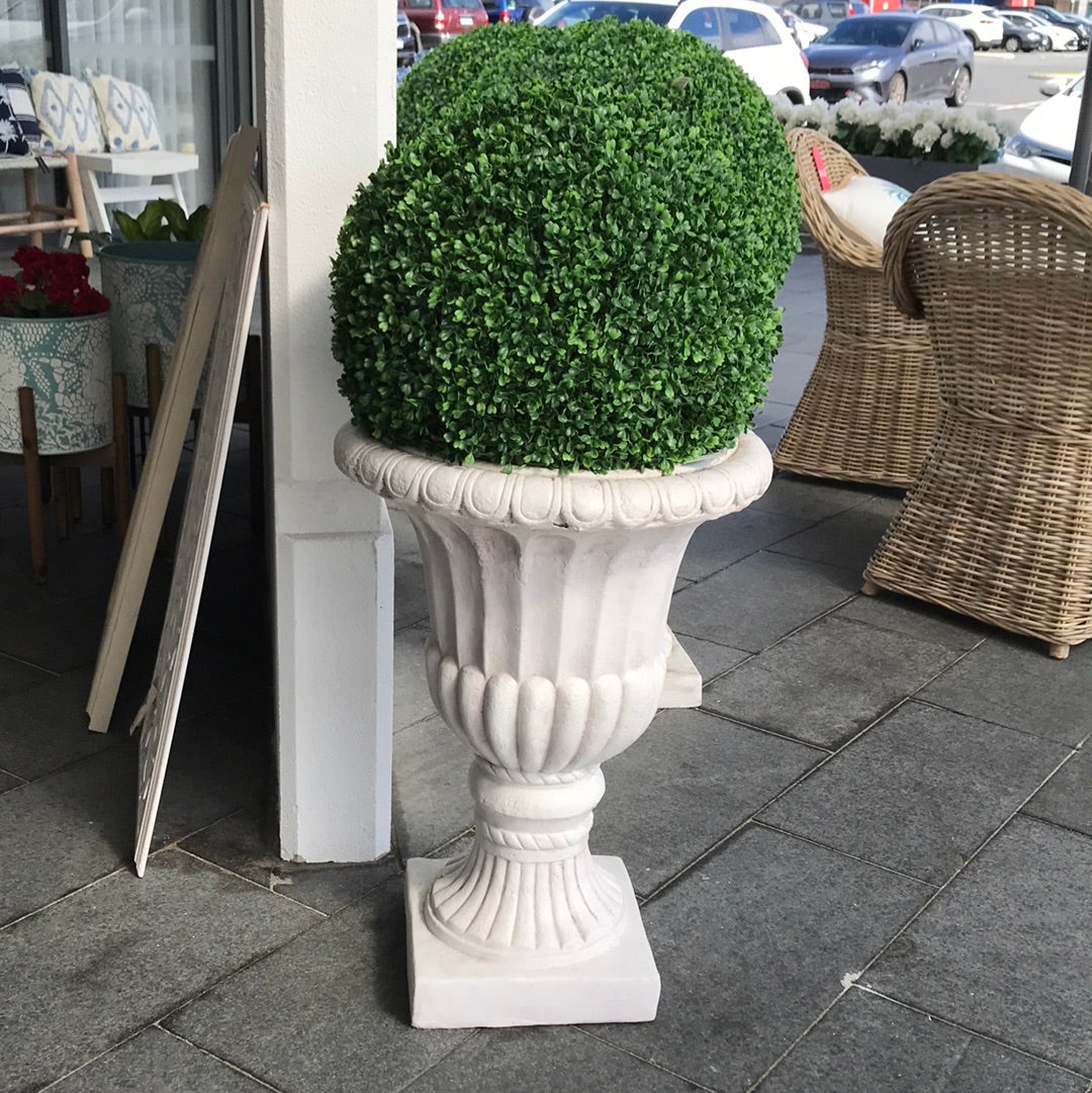 Boxwood Ball 50cm