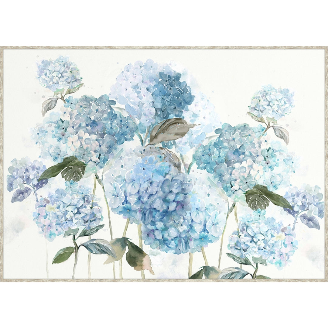Ocean Hydrangea Canvas