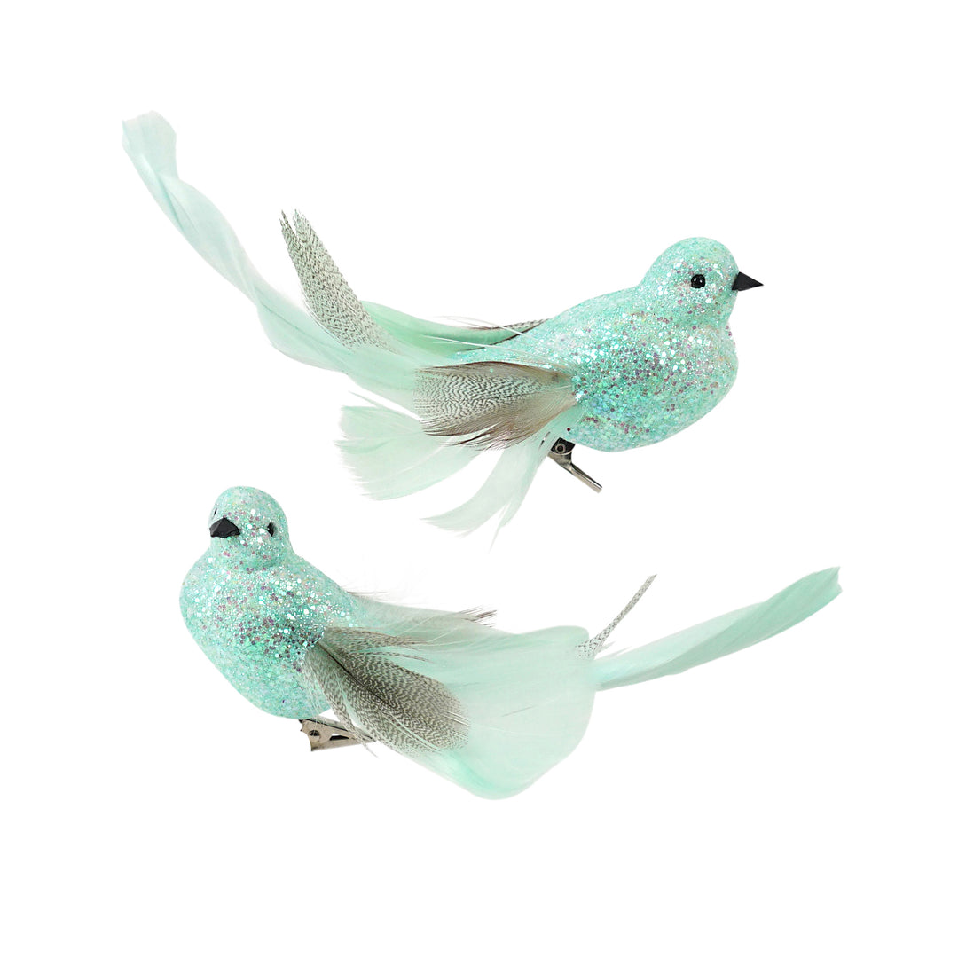 Feather Bird Mint Tail