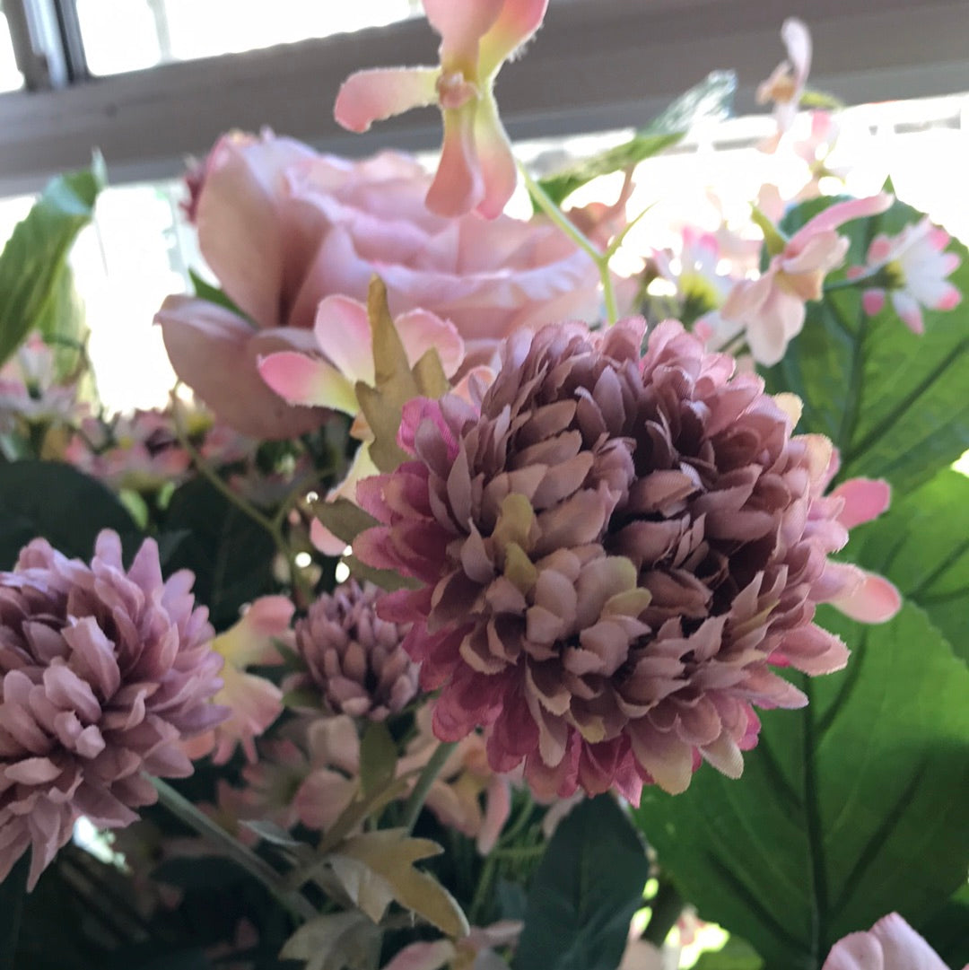 Chrysanthemum Dusty Pink