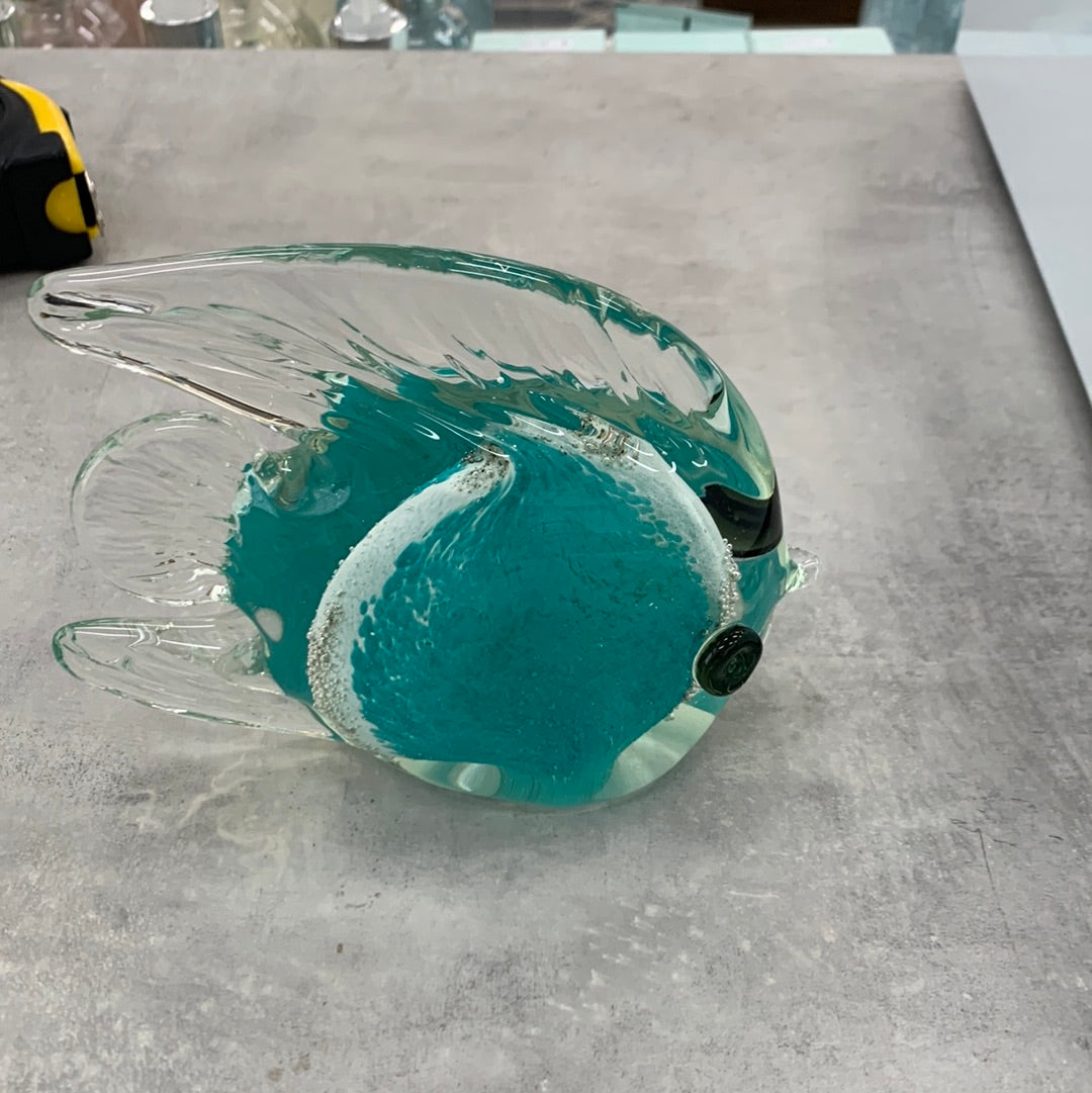 Green Angle fish large