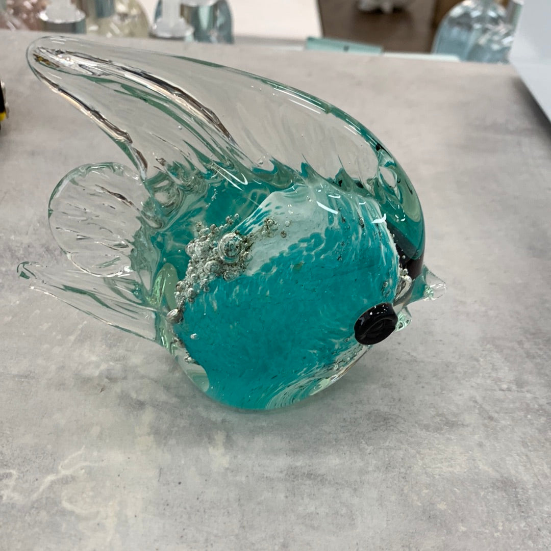 Green Angle fish small